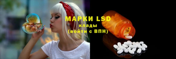 сатива Струнино
