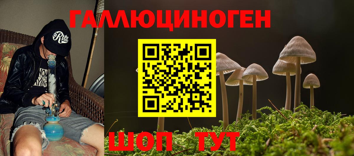 Псилоцибиновые грибы Psilocybe Губаха