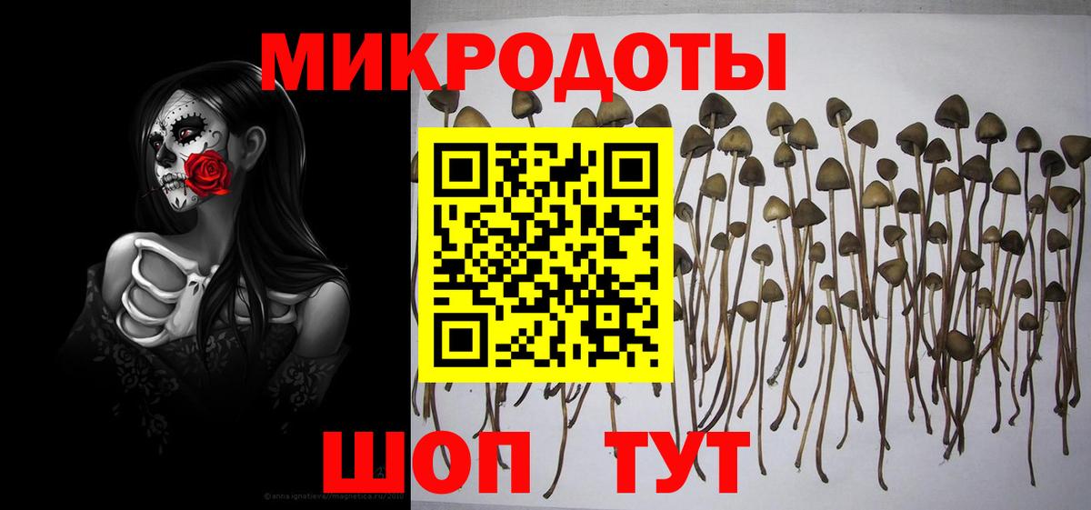 Псилоцибиновые грибы Psilocybine cubensis  Вход с VPN  Губаха  Псилоцибиновые грибы GOLDEN TEACHER 
